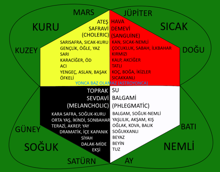 HUMORAL PATOLOJİ TEORİSİ ve AHLAT-I ERBAA